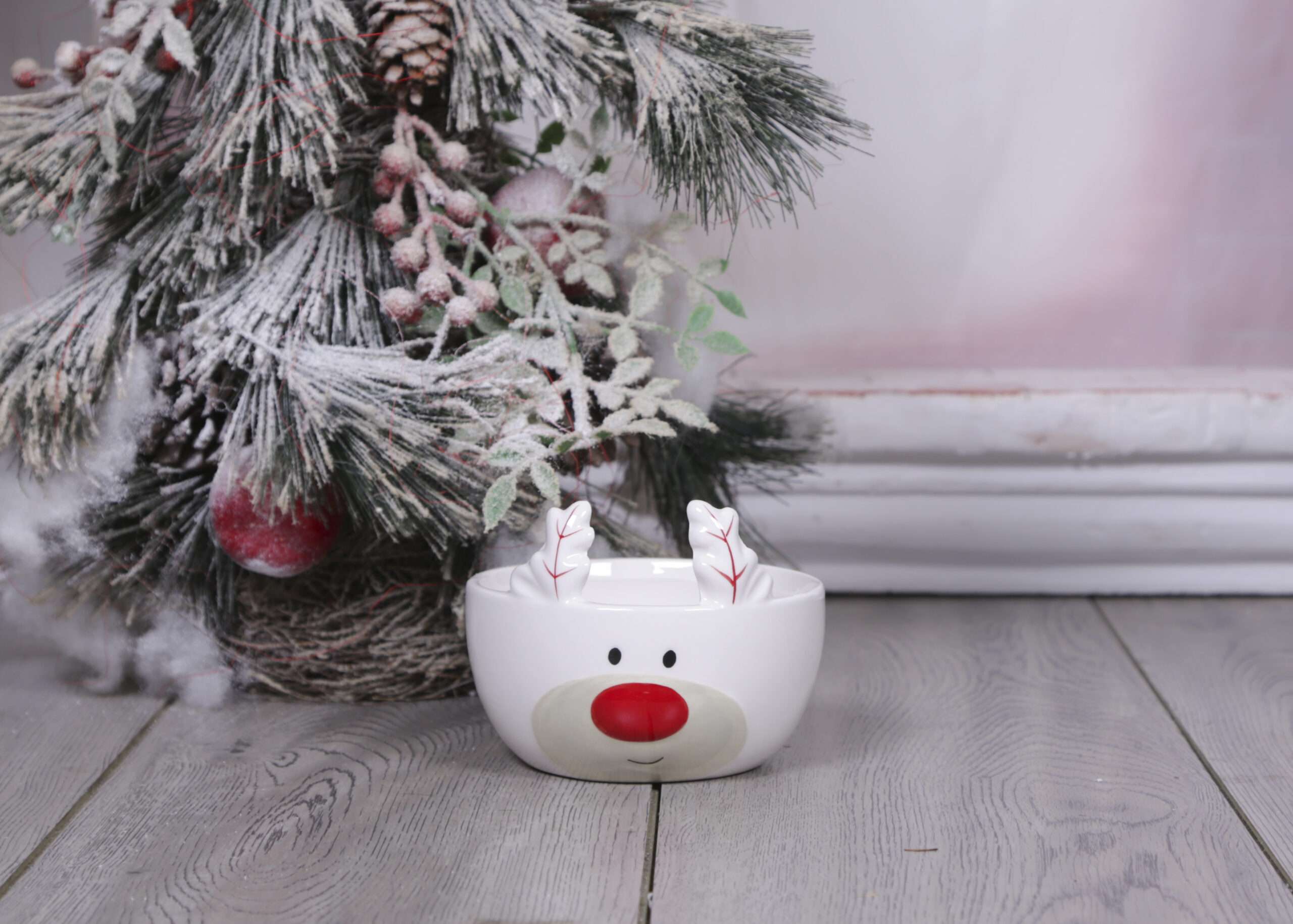 Reindeer Christmas Bowl